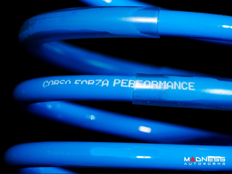 Dodge Hornet Lowering Springs - Corsa Forza Performance 