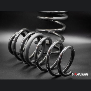 Dodge Hornet Lowering Springs - Eibach - JQ