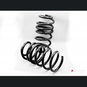 Dodge Hornet Lowering Springs - Eibach - JQ