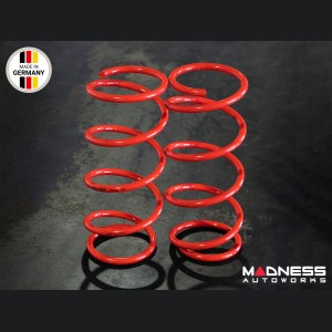 Dodge Hornet Lowering Springs - MADNESS - Sport