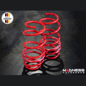 Dodge Hornet Lowering Springs - MADNESS - Sport